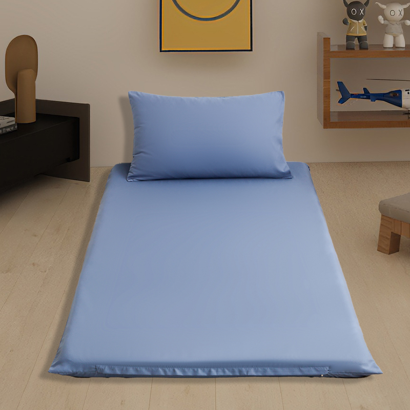 2024新款宿舍家用双面被褥套床垫套 单套90*200cm 蓝色