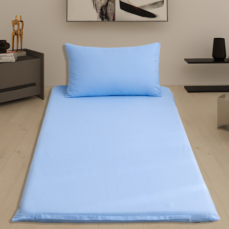 2024新款宿舍家用双面被褥套床垫套 单套90*200cm 天空蓝