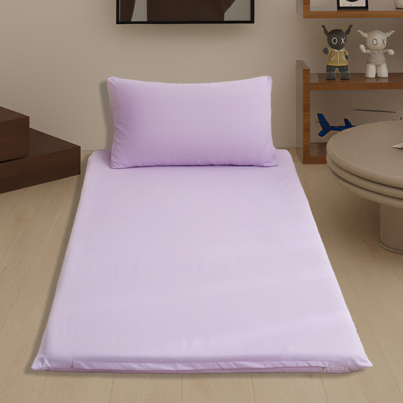 2024新款宿舍家用双面被褥套床垫套 单套90*200cm 紫色