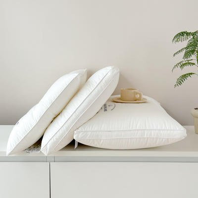 2023新款A类新疆全棉长绒棉枕头枕芯 梦想枕DREAMONLINE48×74cm低枕高约3cm