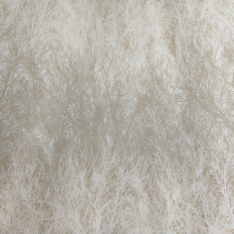 2018平纹植物羊绒面料 宽幅245cm 6