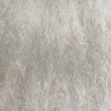 2018平纹植物羊绒面料