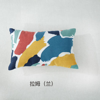 2018新款刺绣抱枕长方形 30*50cm 拉姆