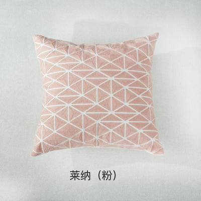 2018新款刺绣抱枕正方形 45x45cm 莱纳（粉）
