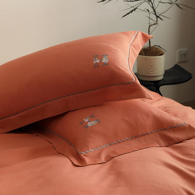 2022新款精梳火山全棉小磨毛纯色系列单品枕套 48*74cm枕套一只 暖阳色丨天橙色