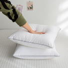 2024新款全棉正方形贡缎抱枕芯多规格沙发床头内胆内芯靠垫 40*40cm/只 白色