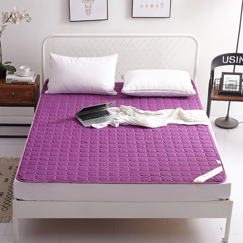2018新品 可机洗床垫薄款 1.0x2.0m 紫色