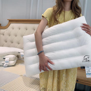 特！可水洗枕芯 A类全棉抗菌防螨枕芯 低平枕