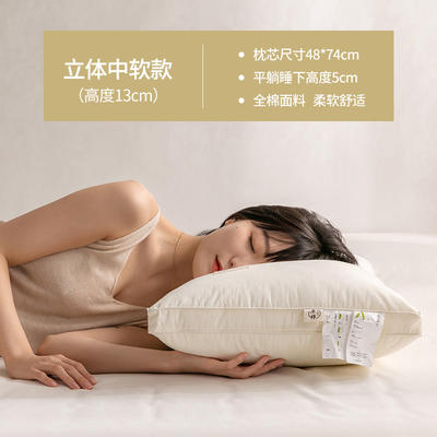 2022新款A+全棉抗菌枕系列枕头枕芯 1000g A+立体中软款 48*74cm 单只装
