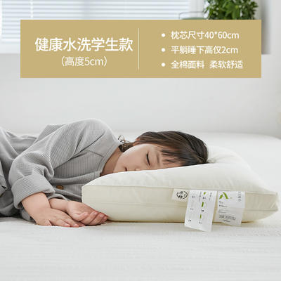 2022新款A+全棉抗菌枕系列枕头枕芯 650g A+学生护颈款 40*60cm 单只装