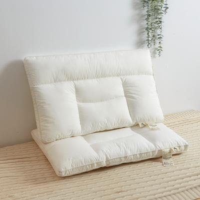 2022新款A类高支密全棉定位枕头枕芯（48*74cm/只） 白色