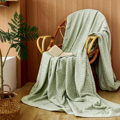 2024新款经典全棉毛圈简约毛巾被 150*200cm-毛巾被 经典长方框-清新绿