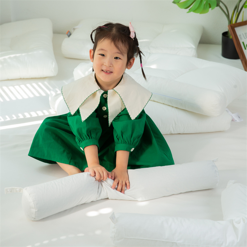2021新款全棉无荧光防羽布枕头枕芯-艾瑞枕 子枕（乳胶）