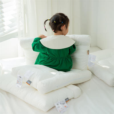 2021新款全棉无荧光防羽布枕头枕芯-艾瑞枕 整枕（PE软管）