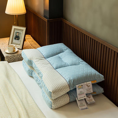 2022新款3D舒毯棉天然荞麦护颈枕头枕芯 天空蓝（48*74cm）