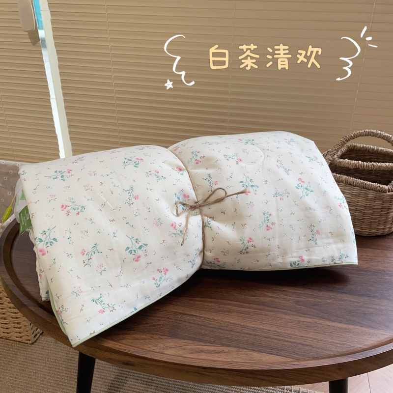2024新款全棉双层纱夏被夏凉被空调被
