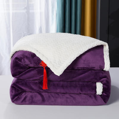 2022新款双层加厚贝贝绒毛毯盖毯休闲毯子 1.2*2.0m 葡萄紫