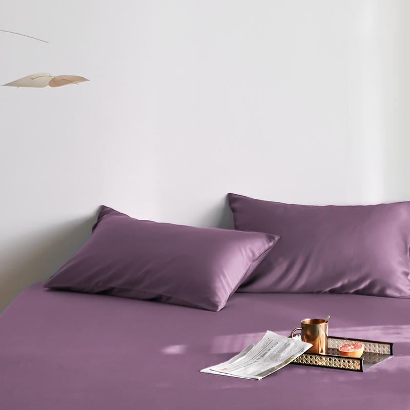 2022新款纯色天丝单枕套 48*74cm单枕套/对 紫薇