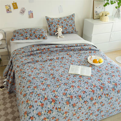 2023新款 A类牛奶绒大豆纤维夹棉床盖 床垫保护罩加厚款床单垫 48x74cm（二个枕套） 暗香蓝