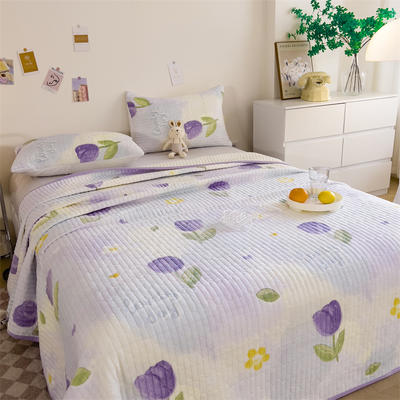 2023新款 A类牛奶绒大豆纤维夹棉床盖 床垫保护罩加厚款床单垫 48x74cm（二个枕套） 紫玫瑰