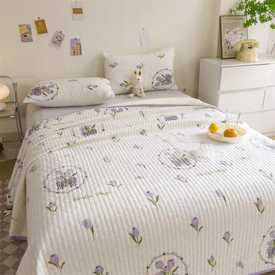 2023新款 A类牛奶绒大豆纤维夹棉床盖 床垫保护罩加厚款床单垫 48x74cm（二个枕套） 紫圈玫