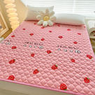 2023新款A类抗菌牛奶绒保暖床垫 90*200cm  0.9公斤 草莓