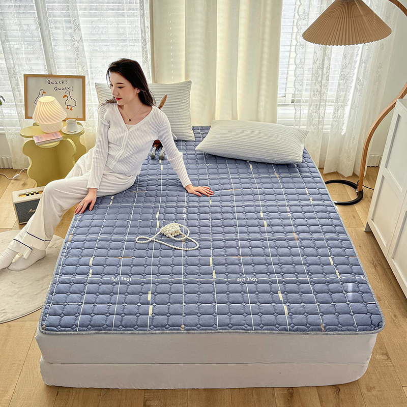 2023新款全棉双面床褥床护垫床垫防滑保护垫 90*200cm 梦想