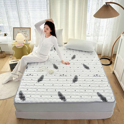 2023新款全棉双面床褥床护垫床垫防滑保护垫 90*200cm 羽林