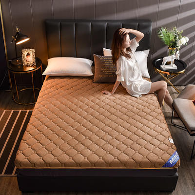 2023新款法莱绒绗绣款加厚床垫 100*200cm 咖啡色（大床）