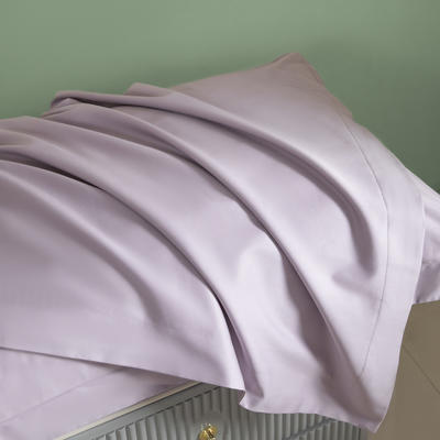 2024新款100支长绒棉纯色系列单品枕套 48*74cm枕套一对 加仑紫
