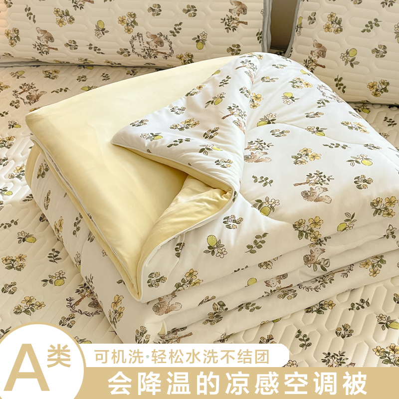 2025（专版花型）A类凉感丝夏被 凉感夏凉被双面加倍透气（四周踩棉） 200x230cm 彼得兔