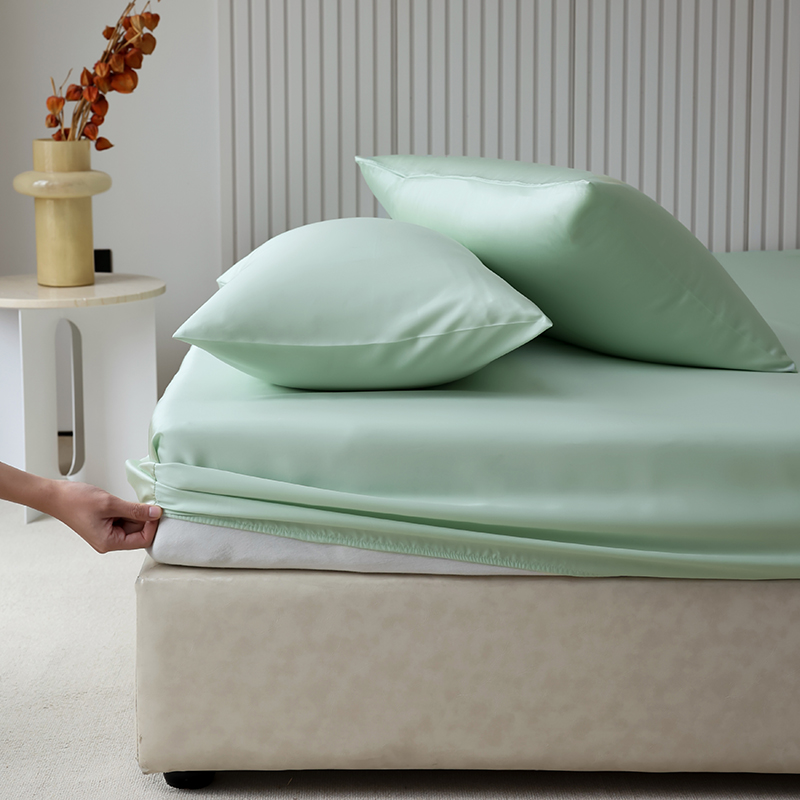 2024新款A类60天丝莱赛尔纤维枕套单人夏季双面天丝枕头套高支高密 枕套/对 发芽绿
