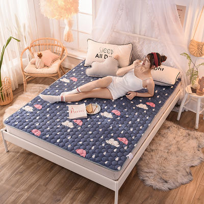 新款宝宝绒牛奶绒床褥子法兰绒法莱绒床垫可以机洗款榻榻米防滑垫 1.0m（3.3英尺）床 雨季