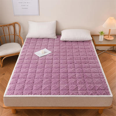 2023新款保暖A类塔芙绒床垫 -成人大床 1.0*2m 紫色