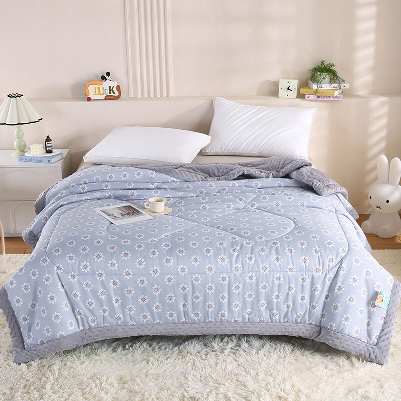 2026新款A类水洗棉豆豆绒被子冬被大豆被芯春秋被冬被幼儿园学生宿舍四季被空调被子被芯 朴雅