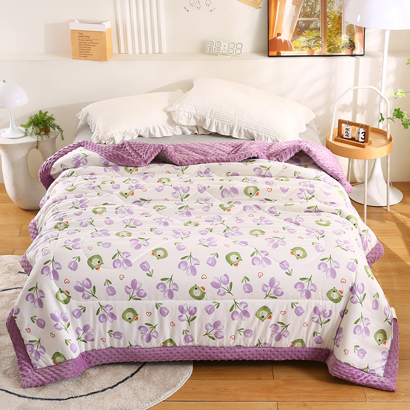 2026新款A类水洗棉豆豆绒被子冬被大豆被芯春秋被冬被幼儿园学生宿舍四季被空调被子被芯 幽香私语