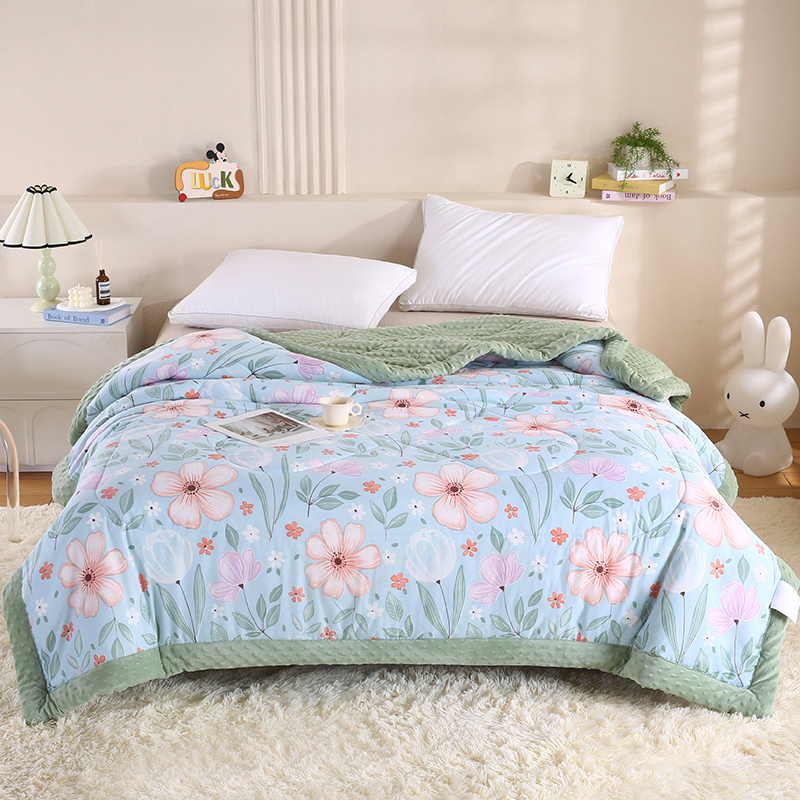 2026新款A类水洗棉豆豆绒被子冬被大豆被芯春秋被冬被幼儿园学生宿舍四季被空调被子被芯 十里春风