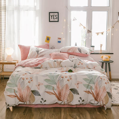 2019新款13372棉加绒水晶绒保暖四件套 床单款四件套2.0m（6.6英尺）床 梦境棉加绒