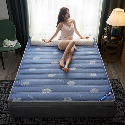 2021新款针织乳胶海绵款床垫 90*200cm 花朵-蓝（10公分）