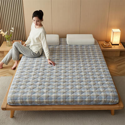 2023新款全棉单边棉花床垫--大床拍图 80*200cm（6cm） 棉花基础款-罗马格