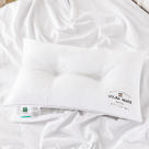 2022新款全棉防雨布羽丝绒低中高款枕芯 白色低枕