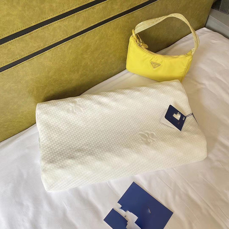 2020新款针织棉希尔顿防乳胶枕枕头枕芯 35*55cm/对白  散拿