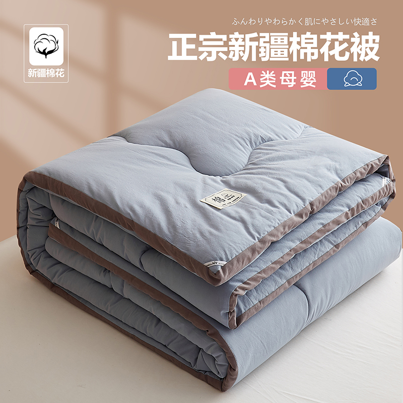 2023新款A类水洗棉纯色日系冬被新疆棉花被 被子被芯 150*200cm（5斤） 蓝灰