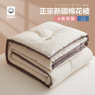 2023新款A类水洗棉纯色日系冬被新疆棉花被 被子被芯 150*200cm（5斤） 本白