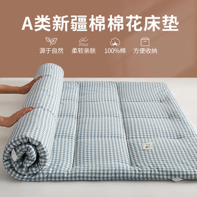 2023新款化纤水洗棉床垫成人家用 90*190cm【3斤】【薄款约3厘米】 浅蓝小格