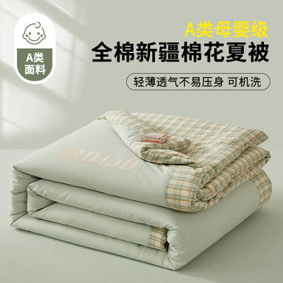 2024新款全棉刺绣MOIJO夏被 棉花被被子被芯 150*200cm单夏被 暮色绿