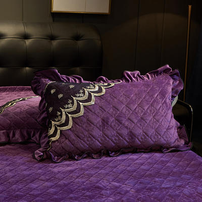 2019新款水晶绒-玲珑时尚单枕套 48cmX74cm 一对 深紫