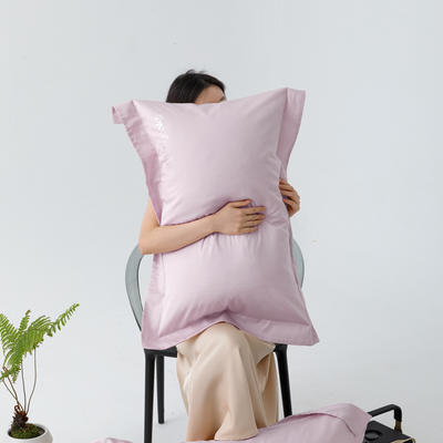 2024新款轻氧水光天丝棉单枕套 48*74cm/对 石蕊紫