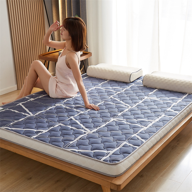 2022新款床垫老粗布椰棕床垫（六公分） 0.9*2.0m 蓝色空间