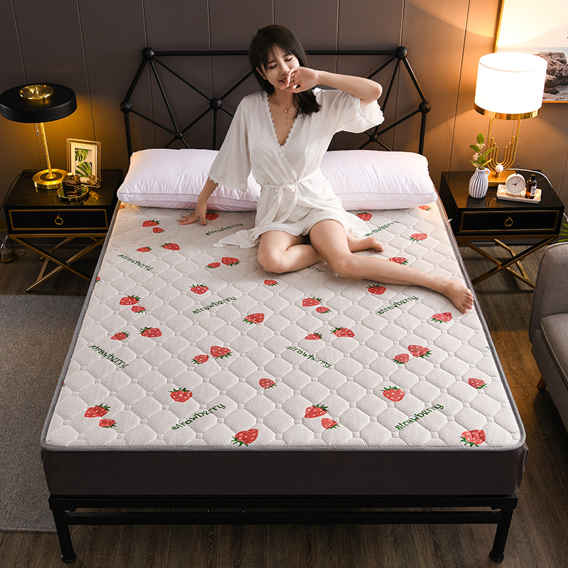 2020新款5D有氧透气记忆棉床垫针织棉乳胶记忆海绵床褥子可定做四季款 90*195cm 草莓